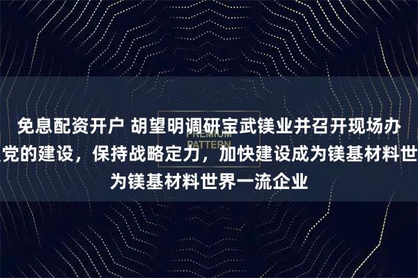 免息配资开户 胡望明调研宝武镁业并召开现场办公会：加强党的建设，保持战略定力，加快建设成为镁基材料世界一流企业
